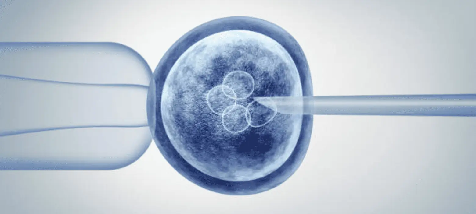 زيادة فرصة الحمل الطبيعي بنسبة 20% بعد إنجاب طفل بواسطة تقنية الأنابيب