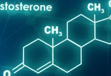 5 طرق لزيادة هرمون التستوستيرون للرجال فعالة وطبيعية