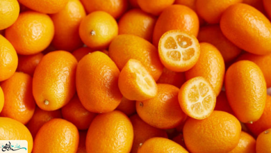 فوائد البرتقال الملكي (كمكوات) وأضراره